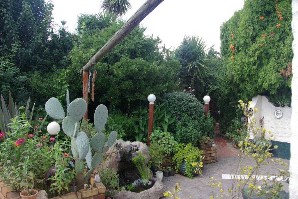 Sleep Eezy Cottages Benoni Εξωτερικό φωτογραφία